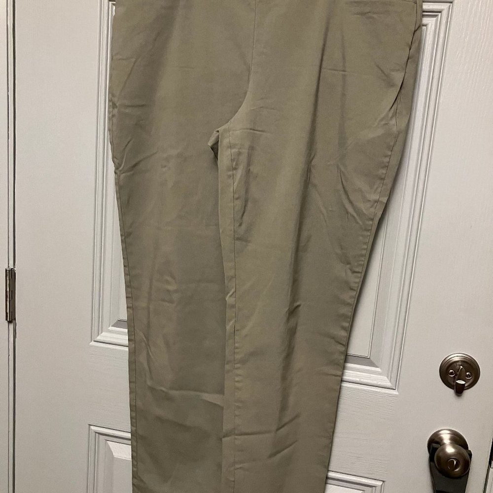 WOMEN'S BRIGGS BRAND SIZE 18W PULL ON POLY COTTON SPANDEX PANTS - SAGE GREEN